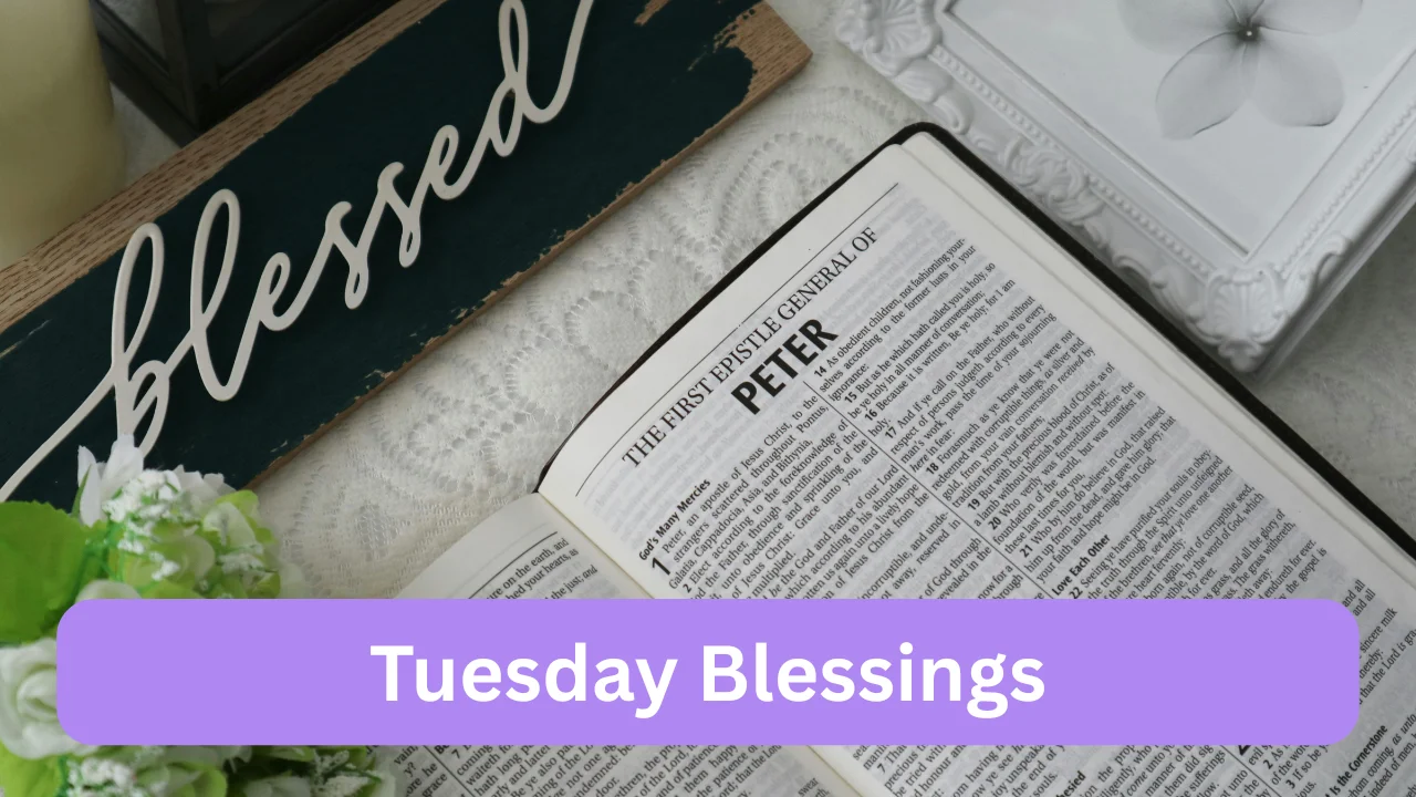 Tuesday Blessings