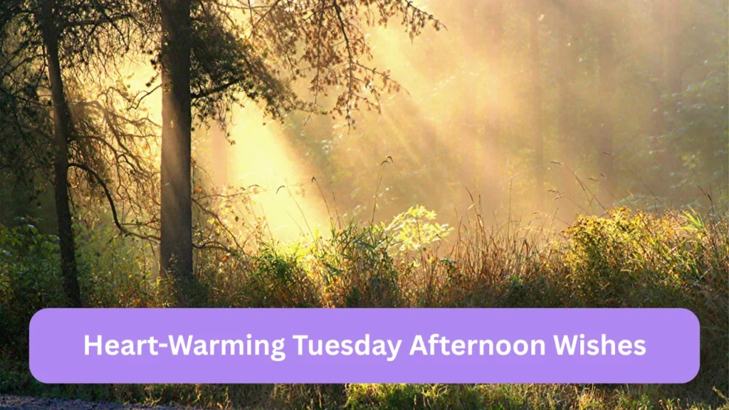 Heart-Warming Tuesday Afternoon Wishes