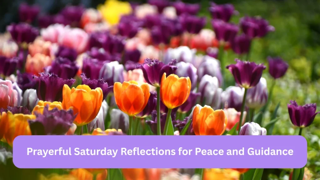 Prayerful Saturday Reflections for Peace and Guidance