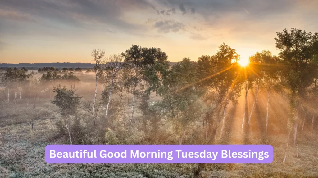 Beautiful Good Morning Tuesday Blessings