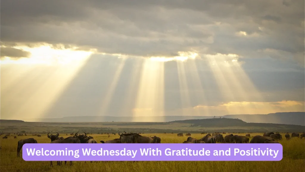 Welcoming Wednesday With Gratitude and Positivity