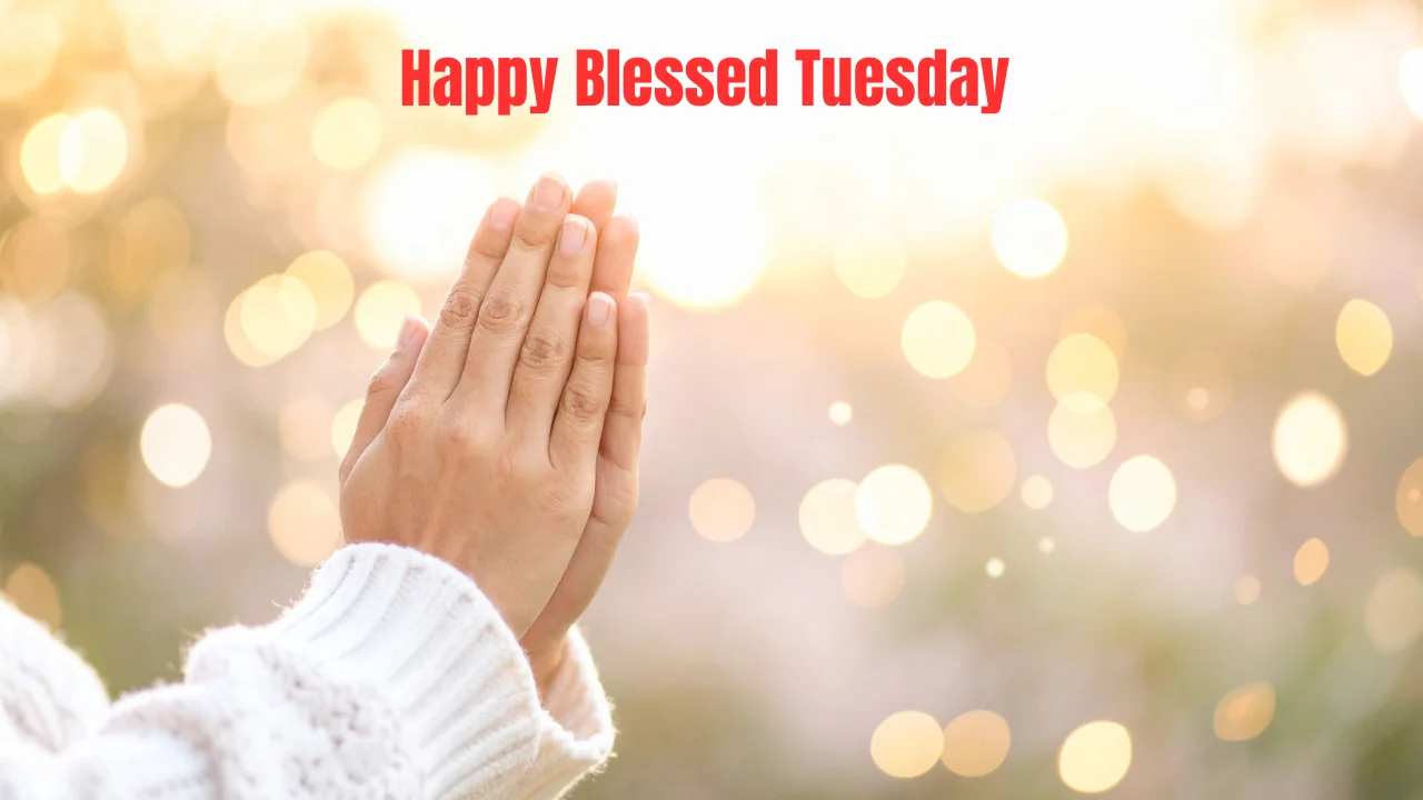 Happy Blessed Tuesday