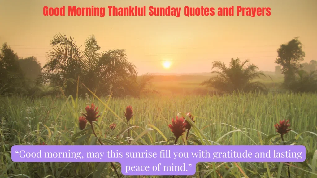 Good Morning Thankful Sunday Quotes and Prayers