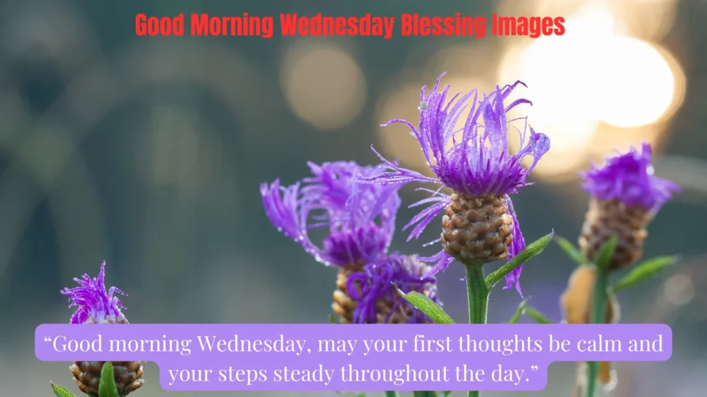 Good Morning Wednesday Blessing Images