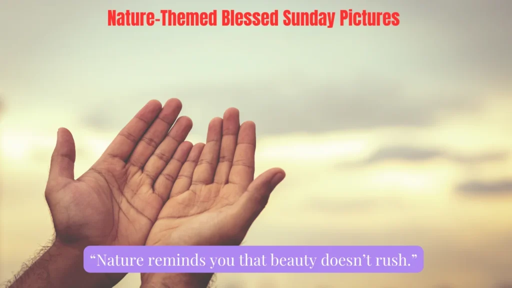 Nature-Themed Blessed Sunday Pictures