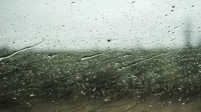 5 Things to Remember When Driving Through a Hailstorm