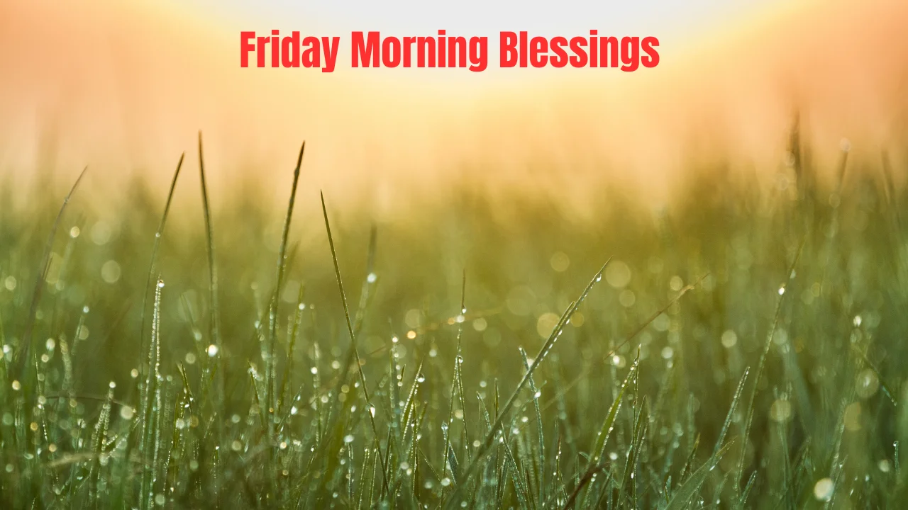 Friday Morning Blessings