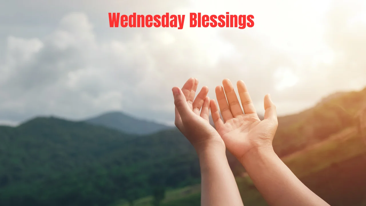 Wednesday Blessings
