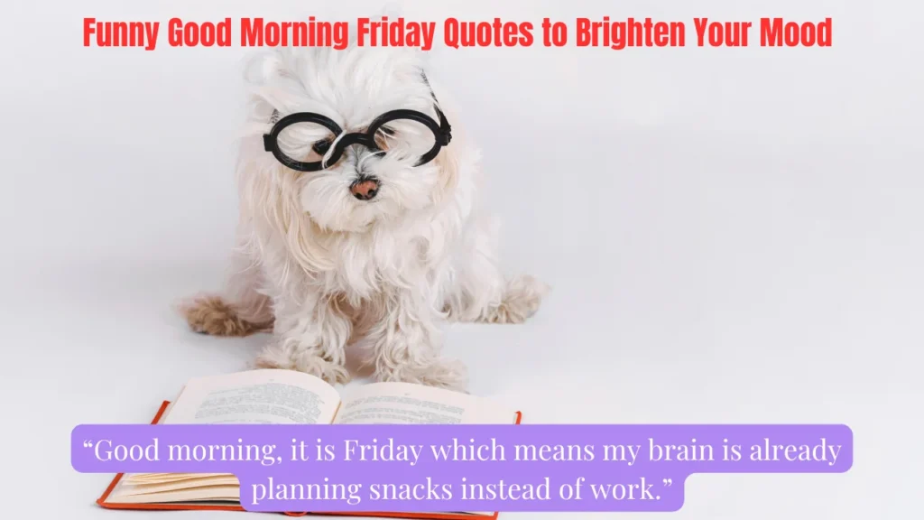 Funny Good Morning Friday Quotes to Brighten Your Mood