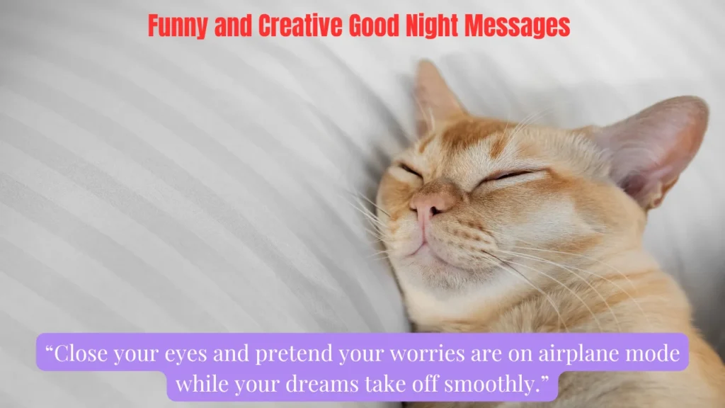 Funny and Creative Good Night Messages