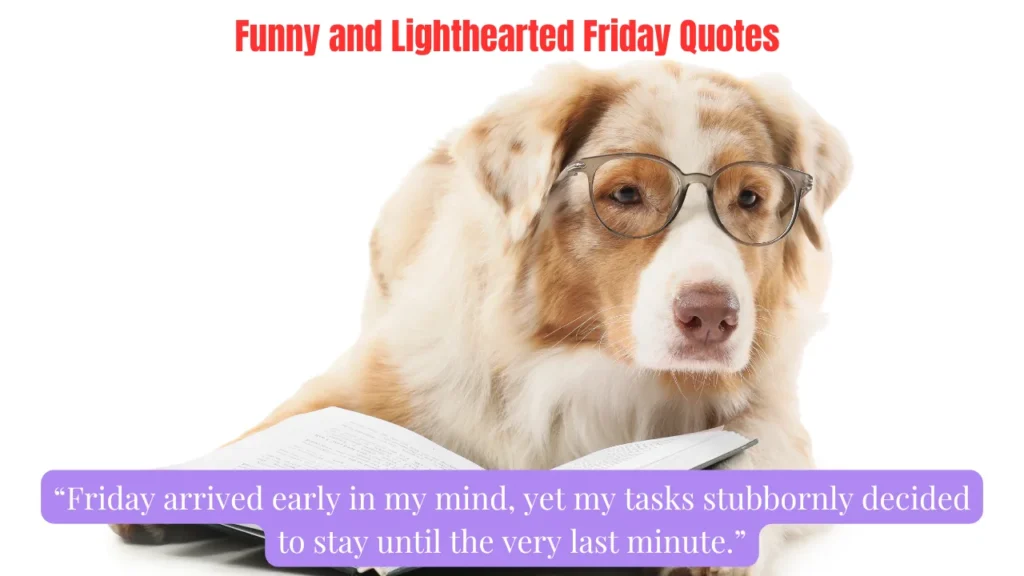 Funny and Lighthearted Friday Quotes