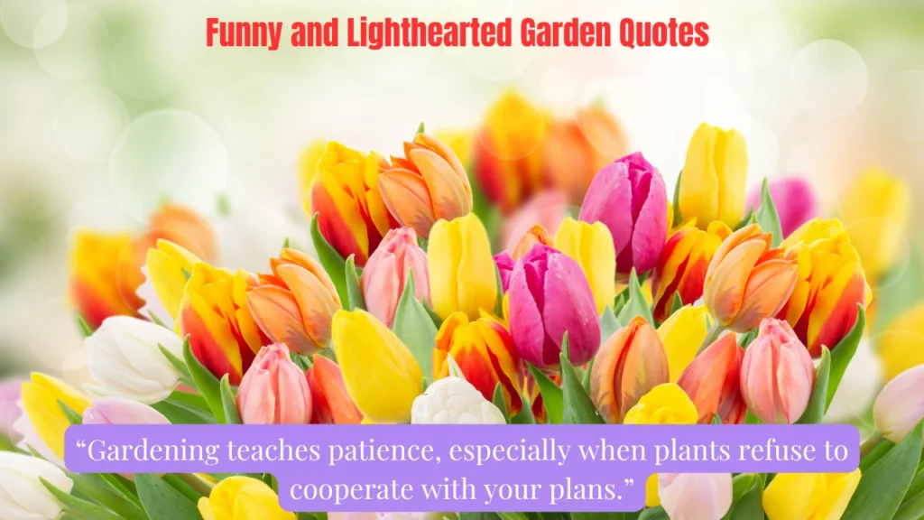 Funny and Lighthearted Garden Quotes
