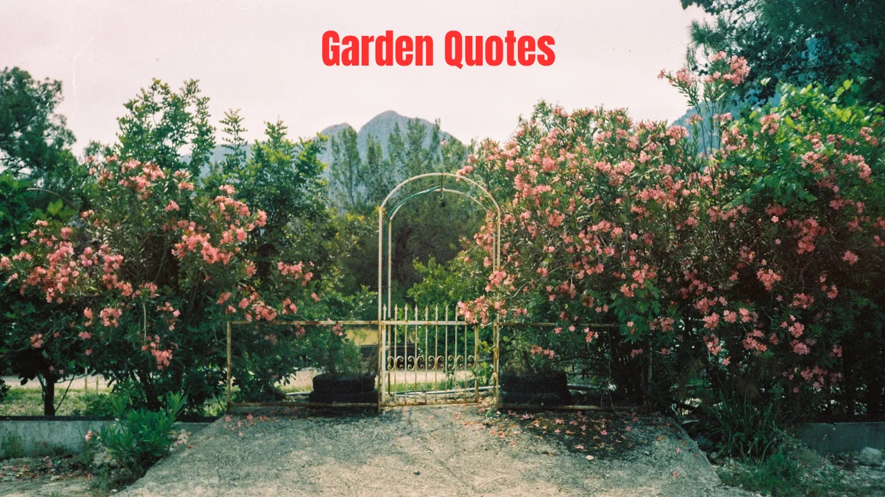 Garden Quotes