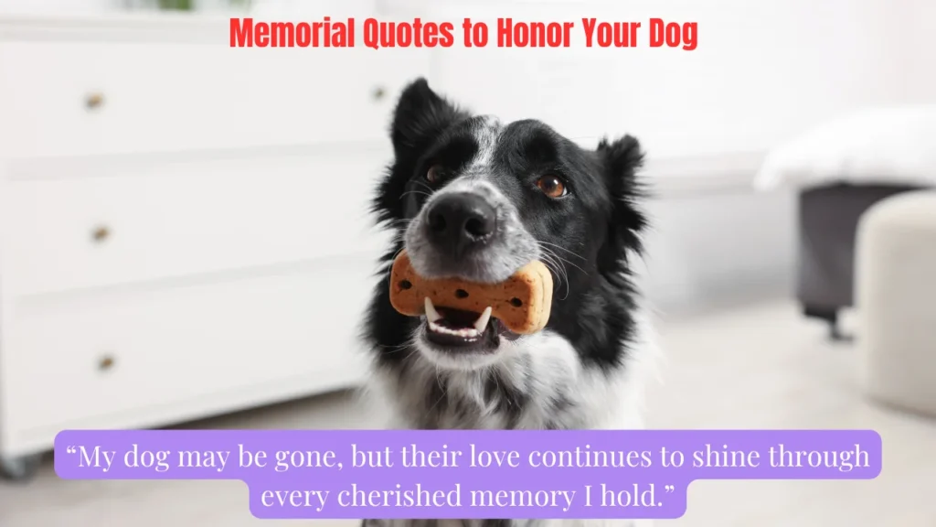 Memorial Quotes to Honor Your Dog