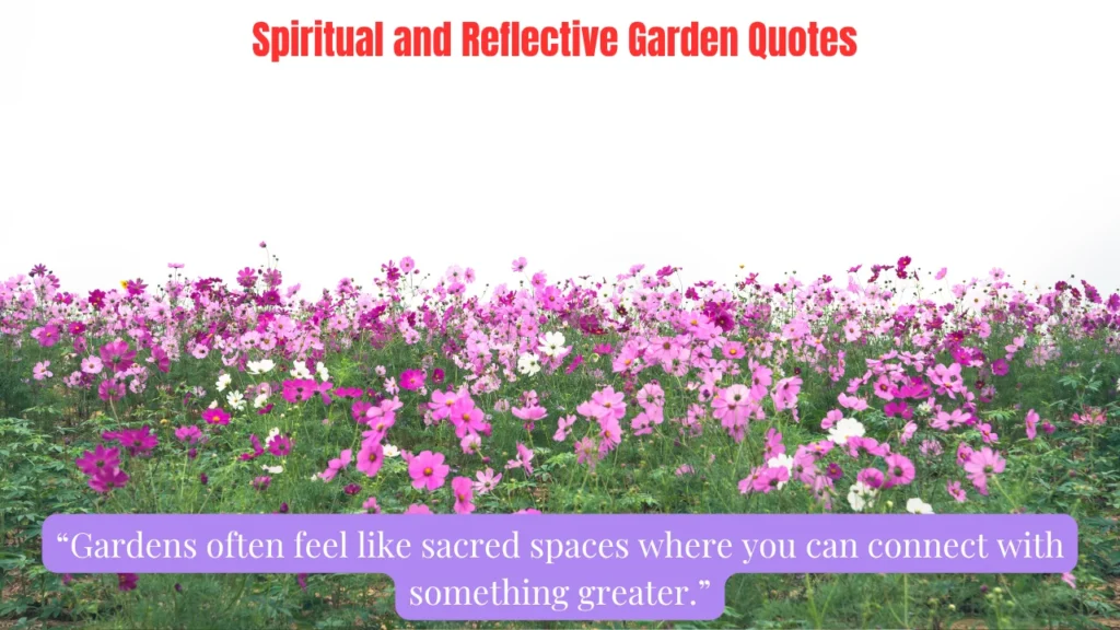 Spiritual and Reflective Garden Quotes