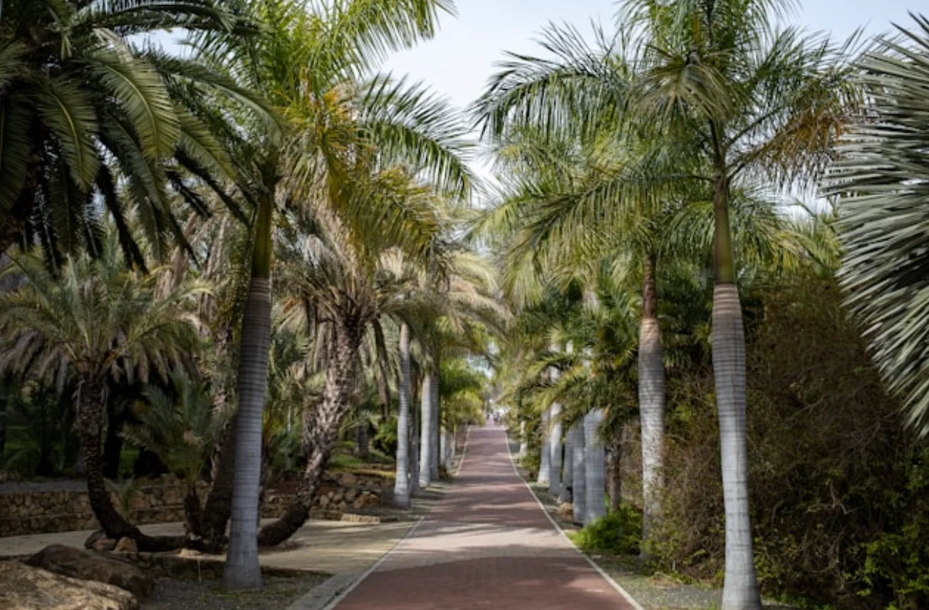 The Botanical Foundation: Why Species Diversity is the Key to Landscape Longevity