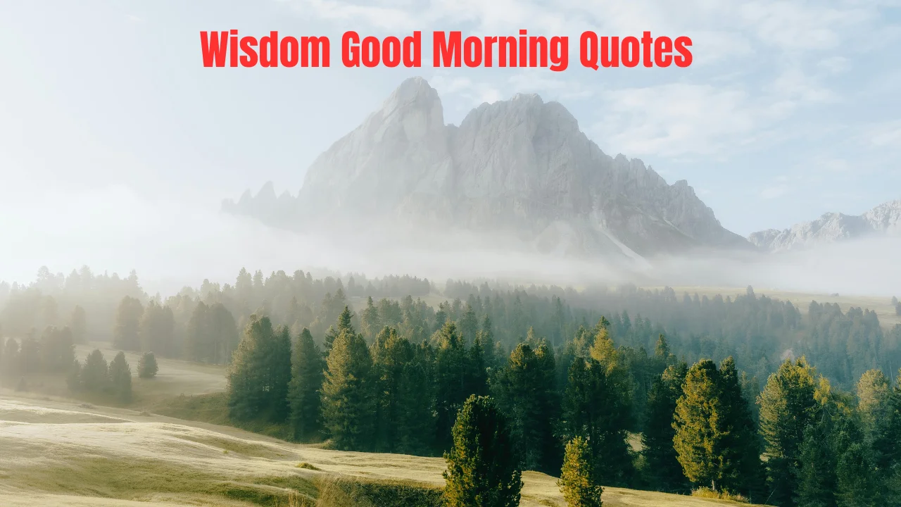 Wisdom Good Morning Quotes