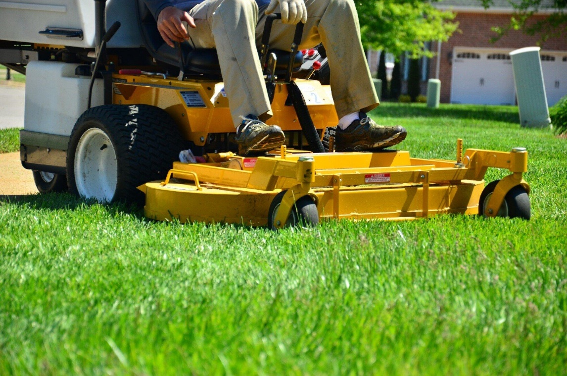 Affordable Lawn Care Services for Beautiful Outdoor Spaces