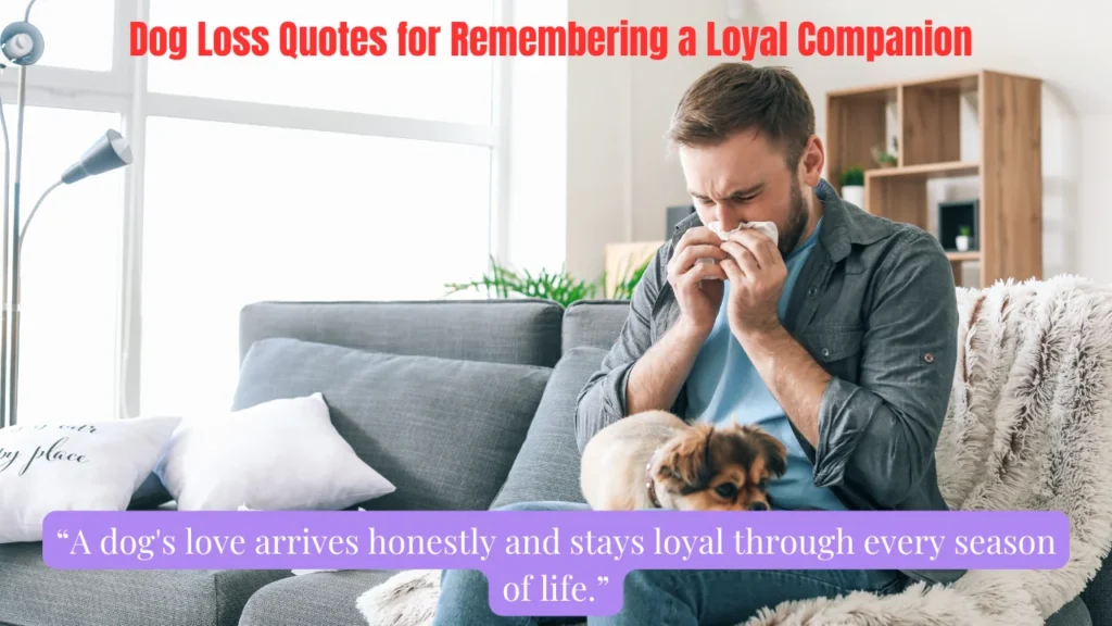 Dog Loss Quotes for Remembering a Loyal Companion