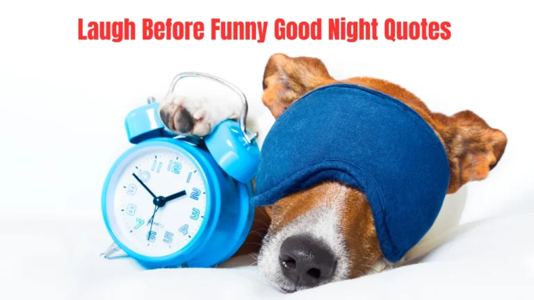 Laugh Before Funny Good Night Quotes