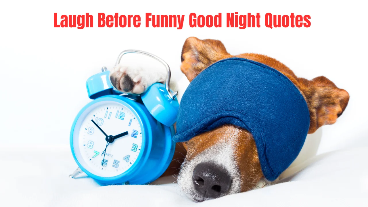 Laugh Before Funny Good Night Quotes