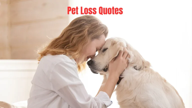 Pet Loss Quotes
