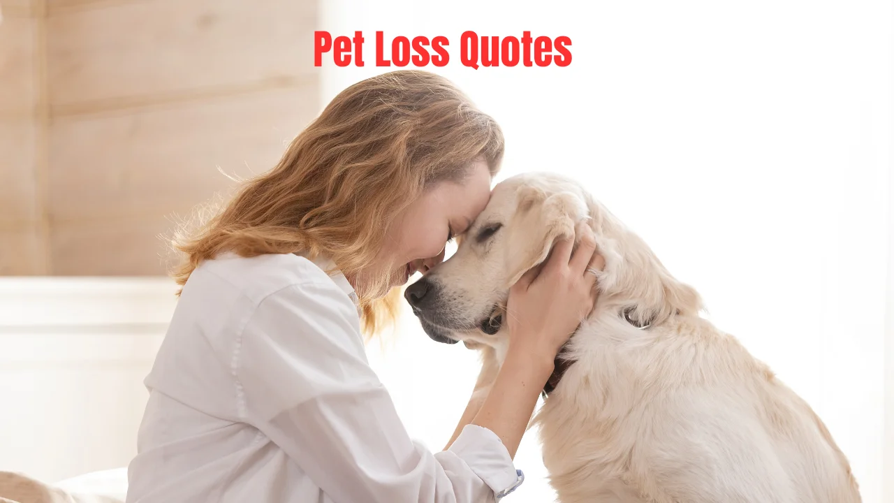 Pet Loss Quotes