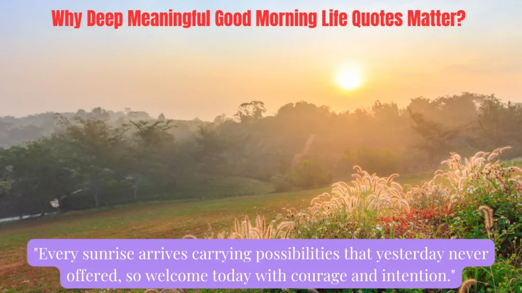Why Deep Meaningful Good Morning Life Quotes Matter?