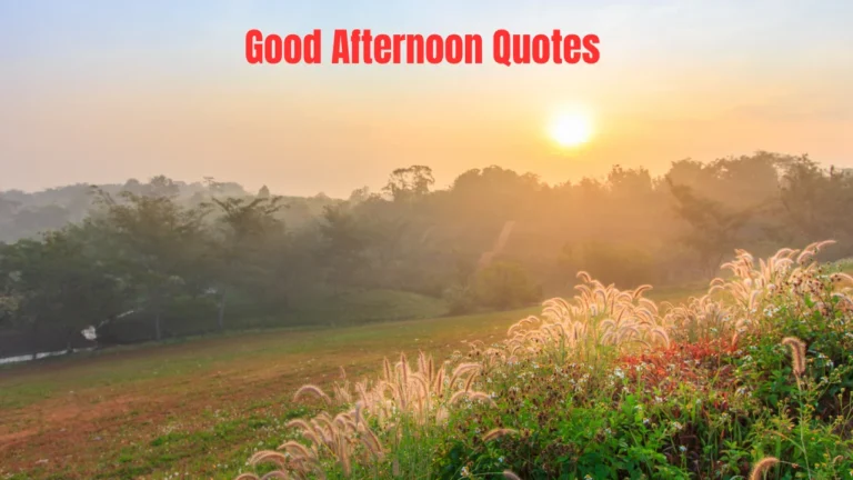 Good Afternoon Quotes