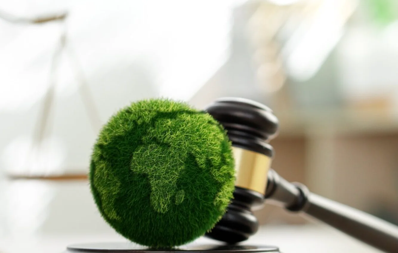 How San Diego Businesses Can Avoid Costly Penalties