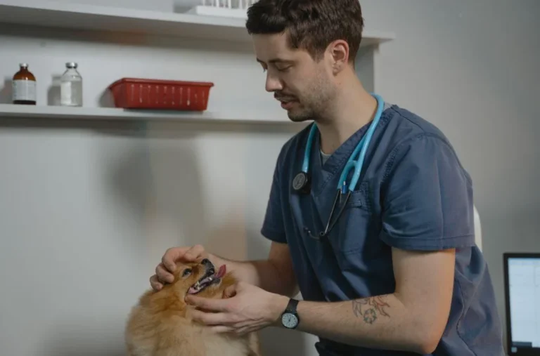 How to Keep Your Pet Healthy Year-Round