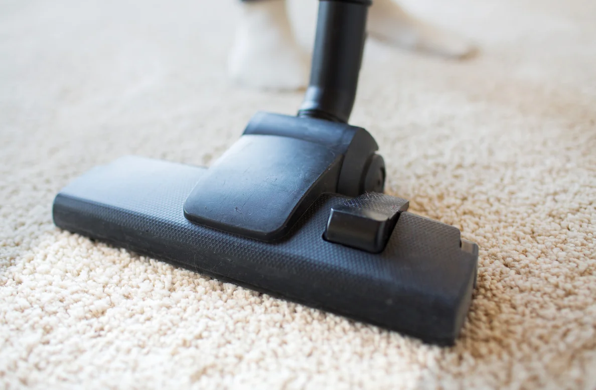 The Complete Guide to Professional Carpet Cleaning