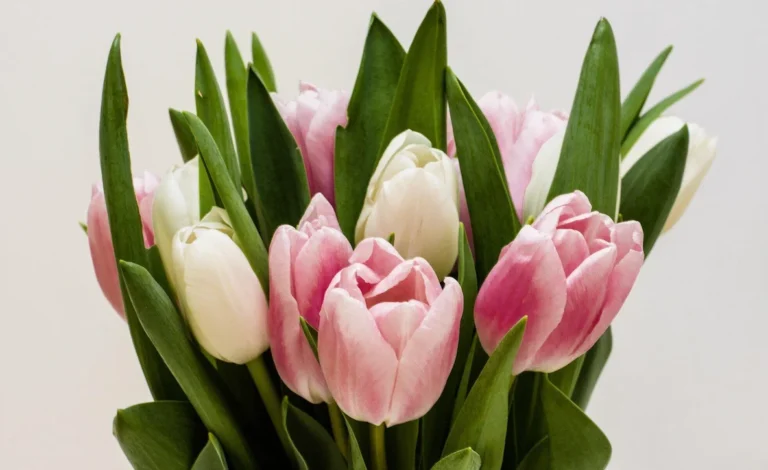 Why Personalized Bouquets Are Worth Every Penny for Special Days