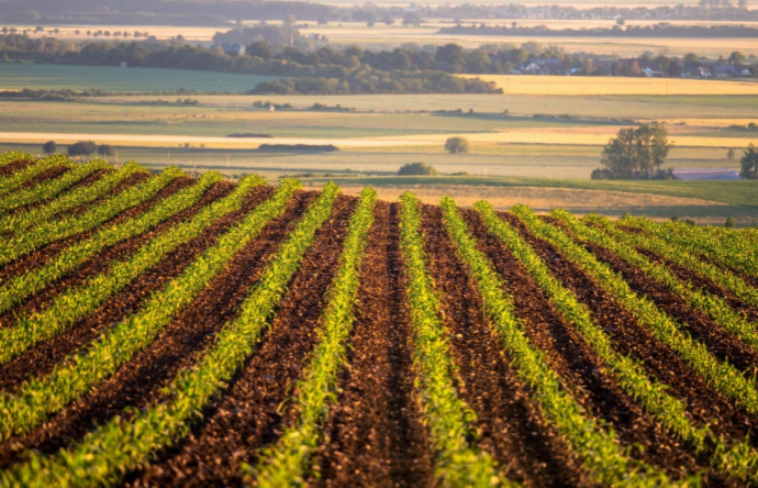Infrastructure Upgrades That Benefit Farm Operations