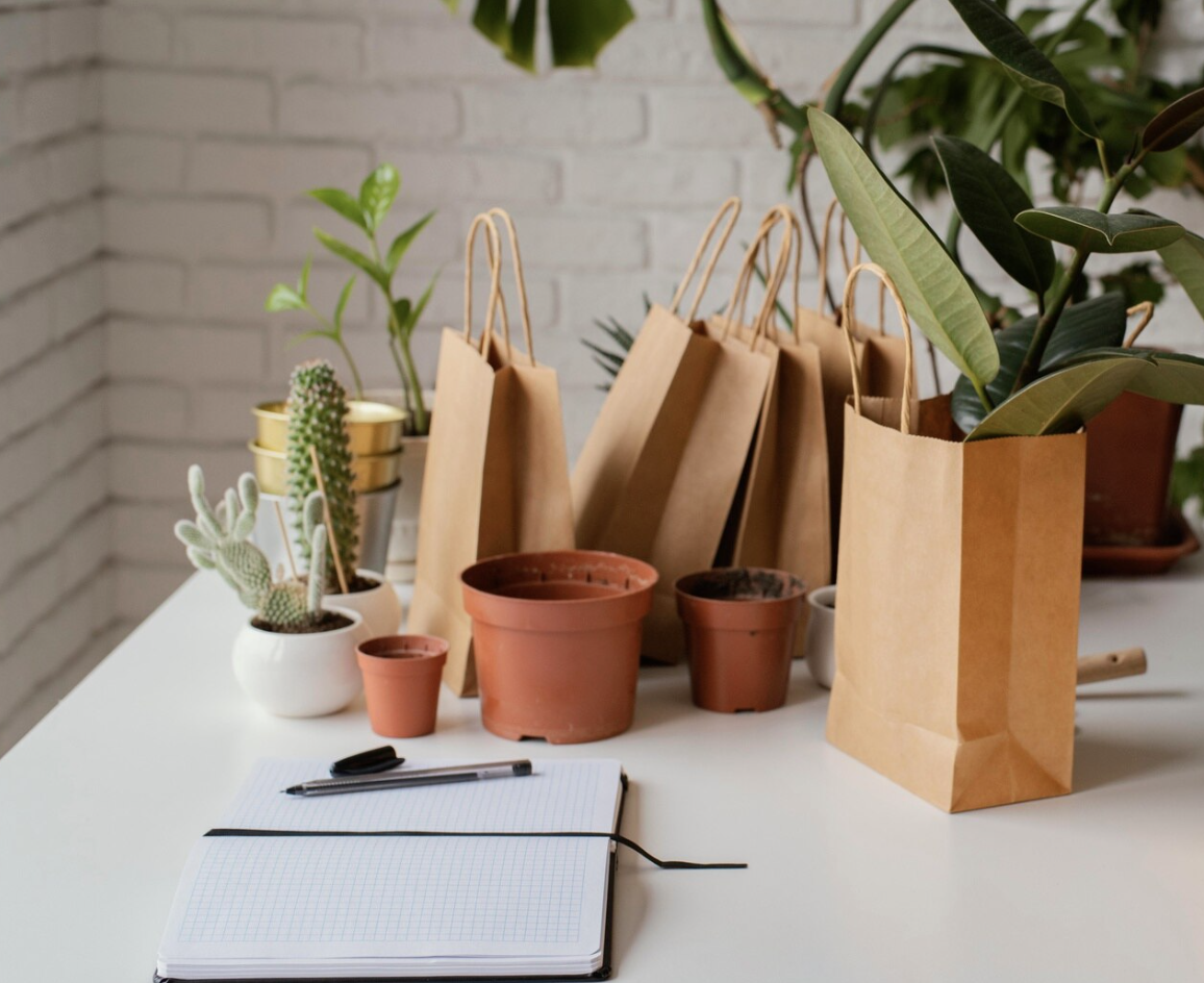 How Sustainable Packaging Drives Brand Success