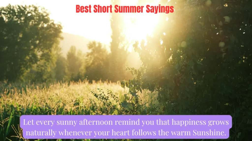 Best Short Summer Sayings