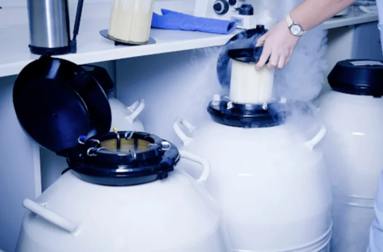 Cryogenic Logistics for the Transportation of Frozen Embryos in Surrogacy