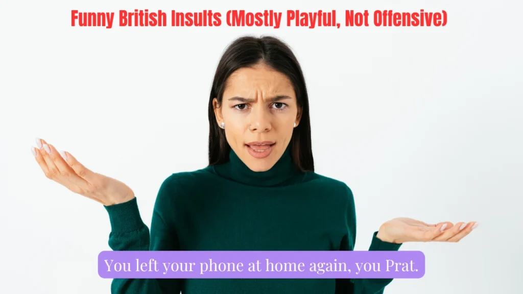 Funny British Insults