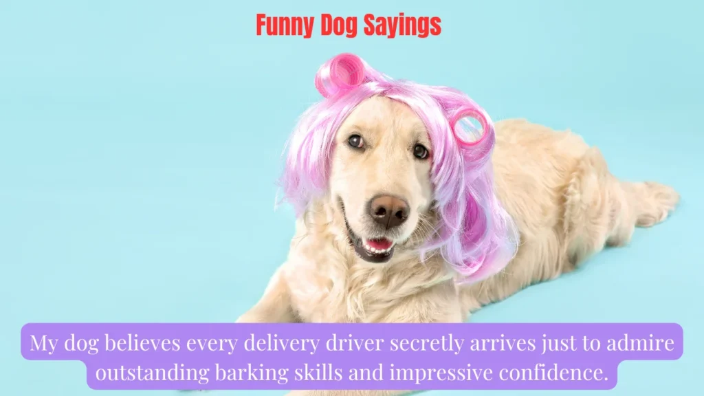Funny Dog Sayings