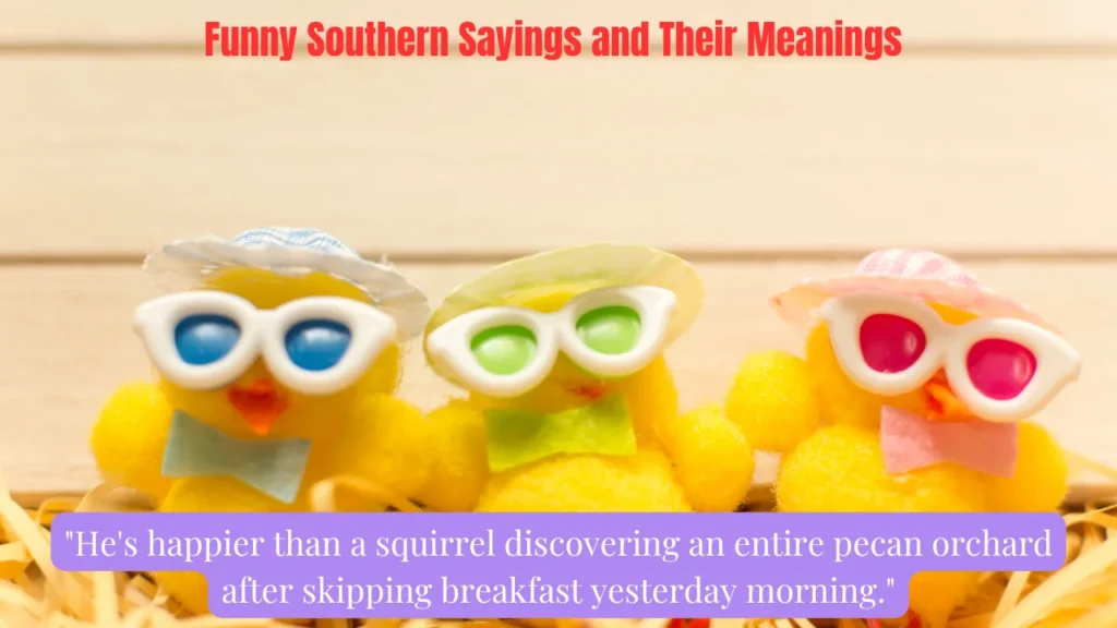 Funny Southern Sayings and Their Meanings
