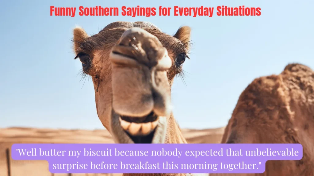 Funny Southern Sayings for Everyday Situations