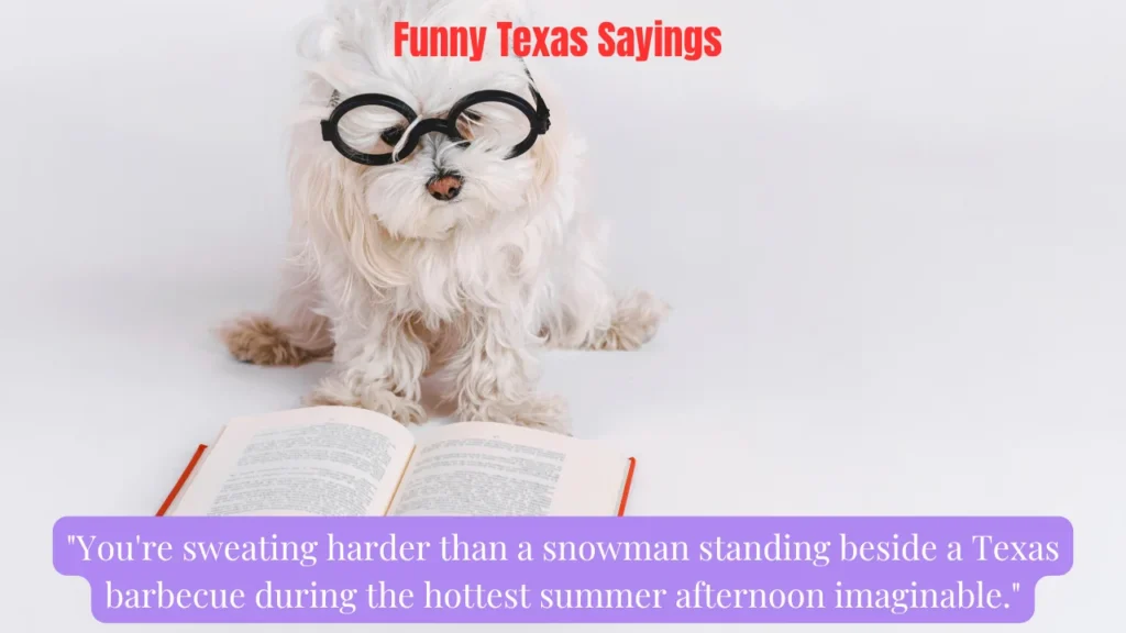 Funny Texas Sayings