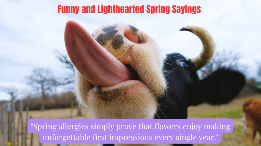Funny and Lighthearted Spring Sayings