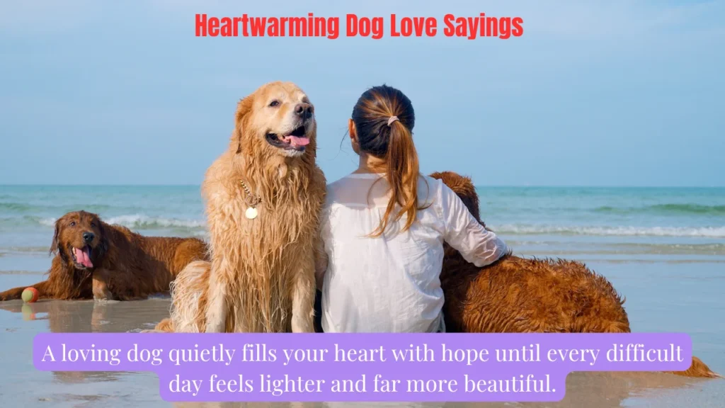Heartwarming Dog Love Sayings