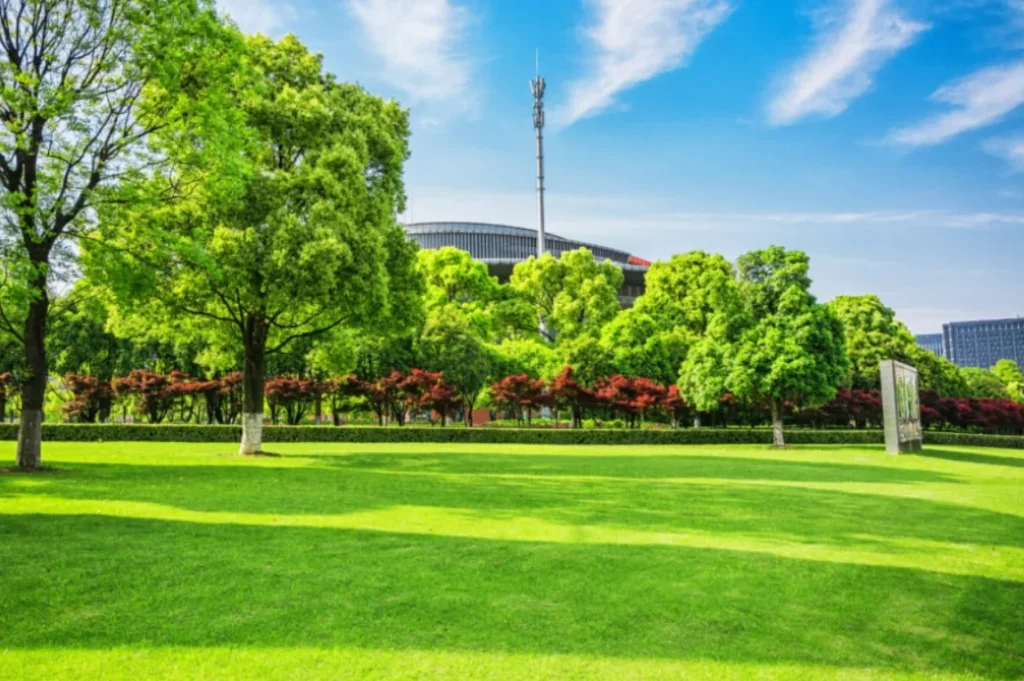 Professional Landscape Design Brings Everything Together