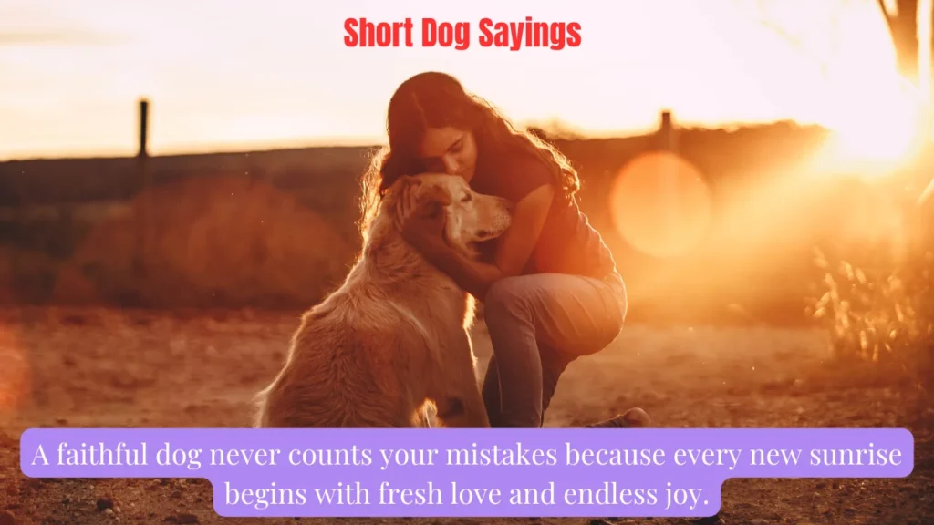 Short Dog Sayings