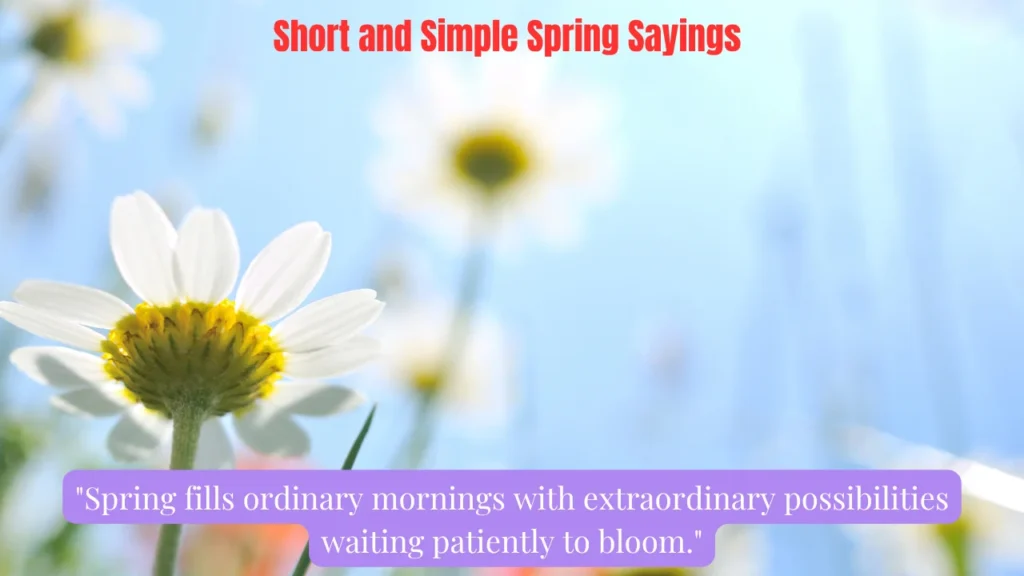 Short and Simple Spring Sayings
