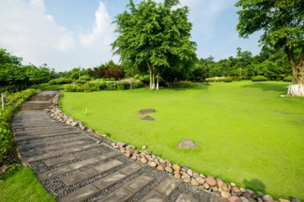 Smart Plant Choices Create Lasting Beauty