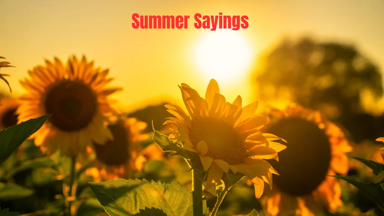 Summer Sayings