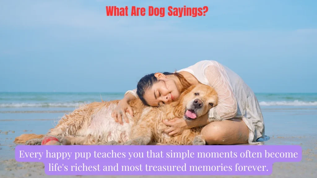 What Are Dog Sayings?